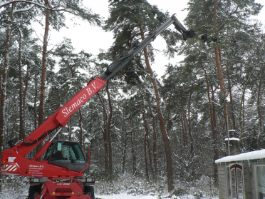 Bomen rooien dec 2009 6